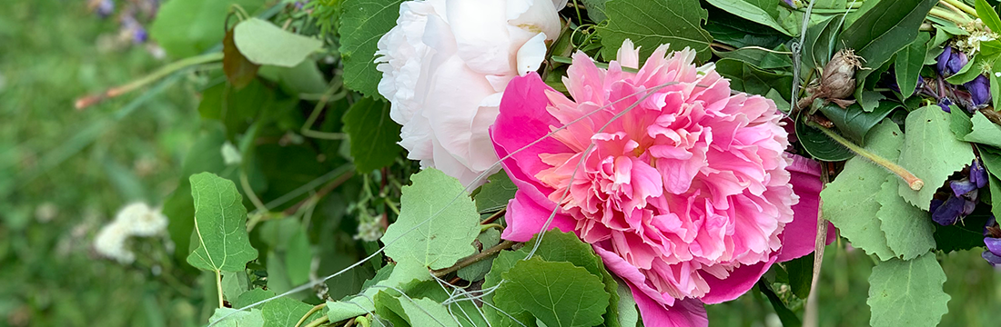 Image of flowers